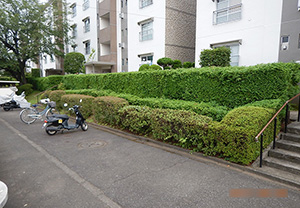 狭山市　S団地　ＢＥＦＯＲＥ