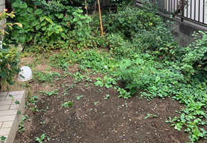 東村山市　Y様邸　人工芝　ＢＥＦＯＲＥ